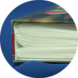 ������ �����������