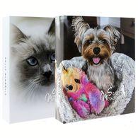 ���������� GEDEON MM46200 PUPIL 10x15/200